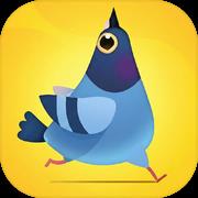 疯狂的鸽子 安卓最新版