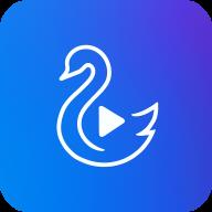 天鹅视频app 4.3.0安卓版