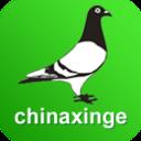 中国信鸽信息网手机版 20210906安卓版