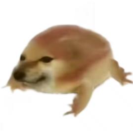 我的刀盾 官网版